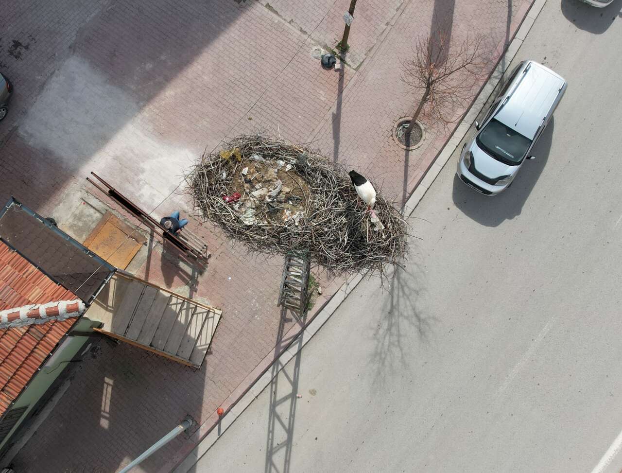 Konya’ya bahar geldi! Leylekler müjdeledi 6